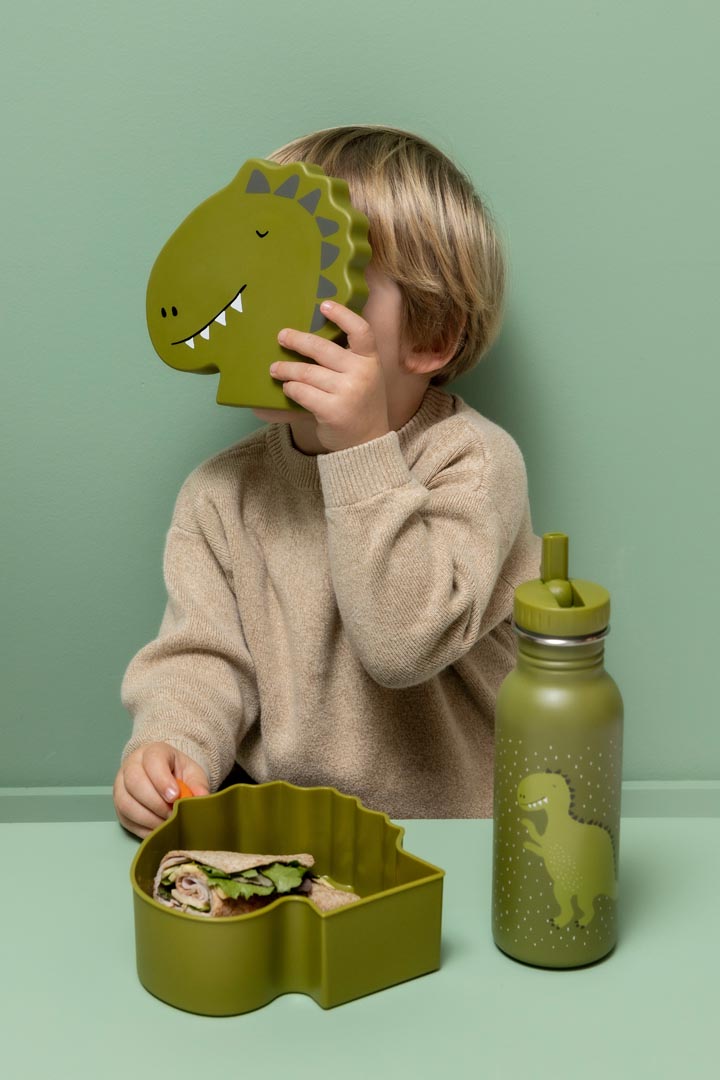 Shaped lunch box - Mr. Dino